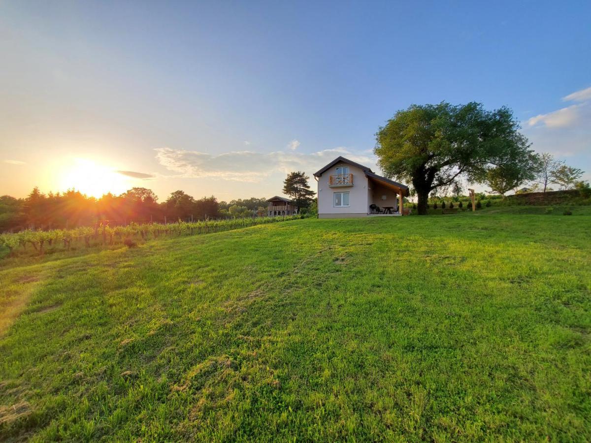 Holiday Home Vinovilla Kutjevo Exterior foto